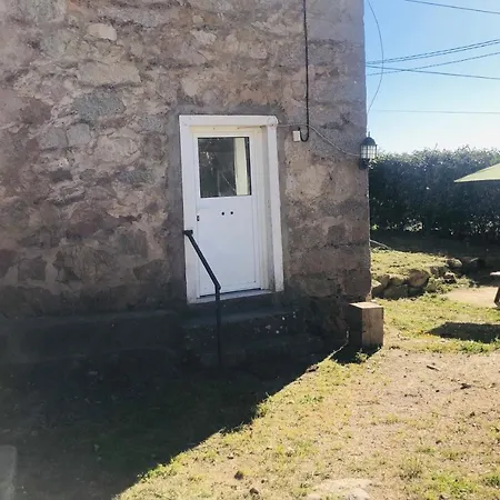 Bas De Maison Olivese