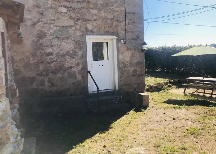 Bas De Maison Olivese